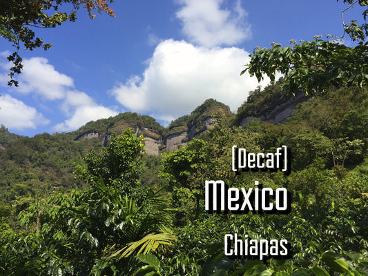 Decaffeinated Mexico Chiapas [Certified Organic and Fair Trade]