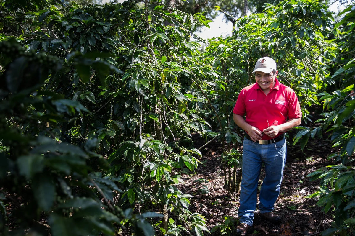 Guatemala - San Miguel Escobar