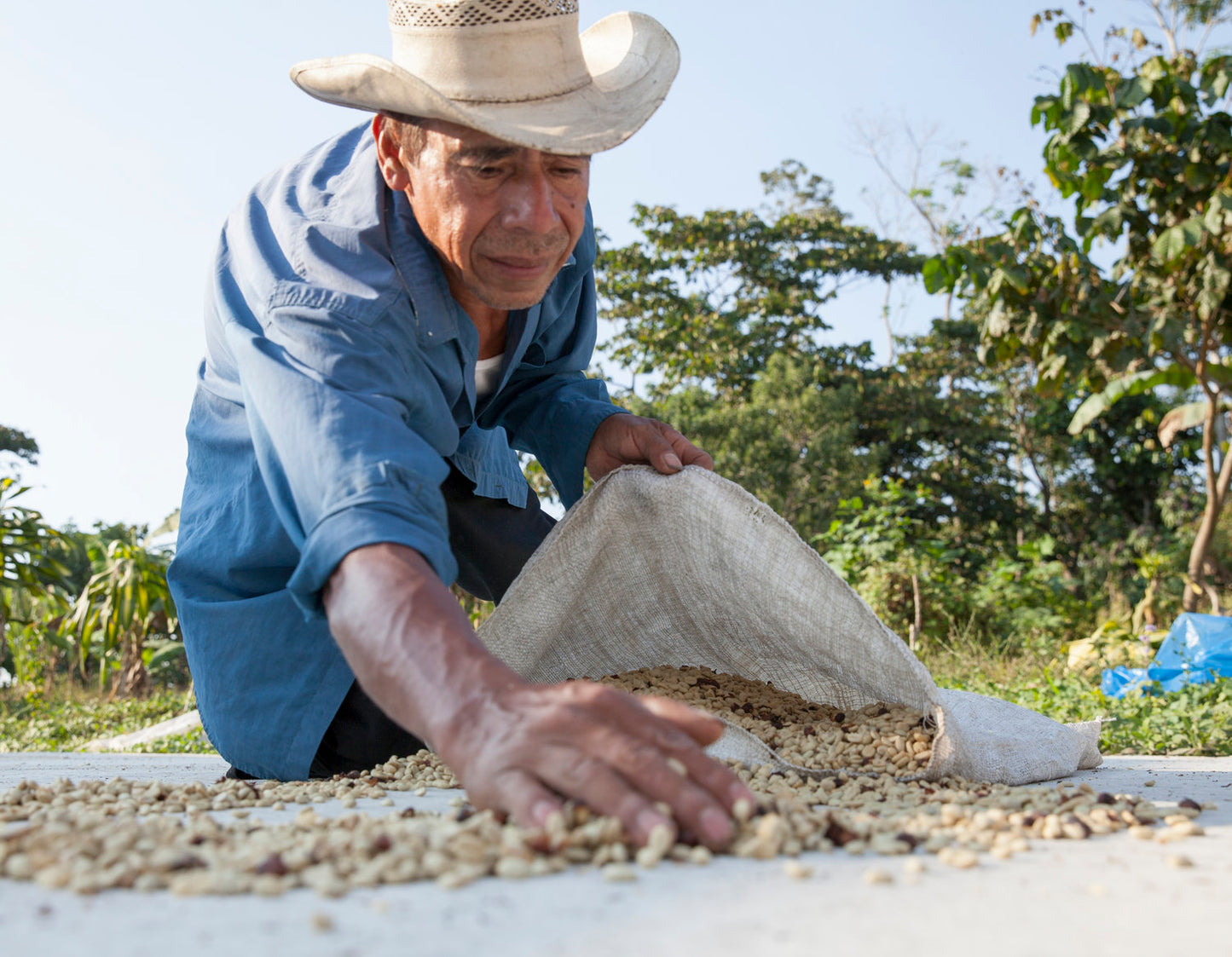 Guatemala - Santa Anita