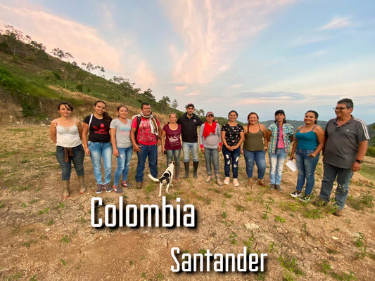 Colombia Black Condor