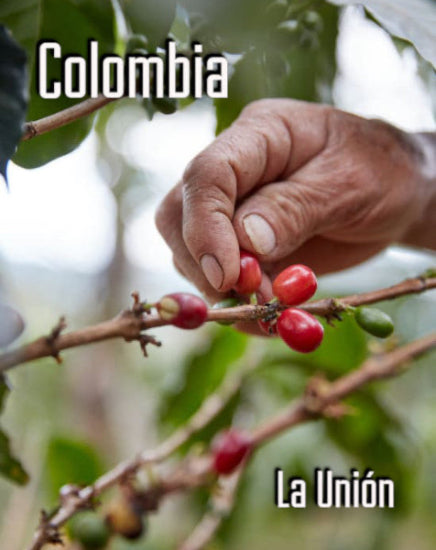 Colombia Narino Castillo