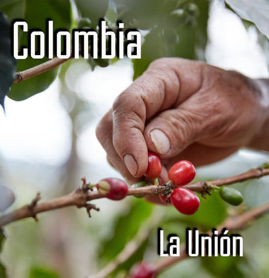 Colombia Narino Castillo