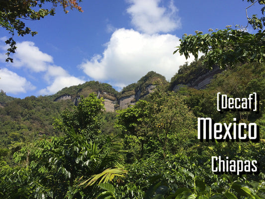 Decaffeinated Mexico Chiapas [Certified Organic and Fair Trade]