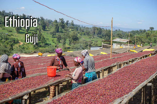 Ethiopia Kayon Mountain [Certified Organic]