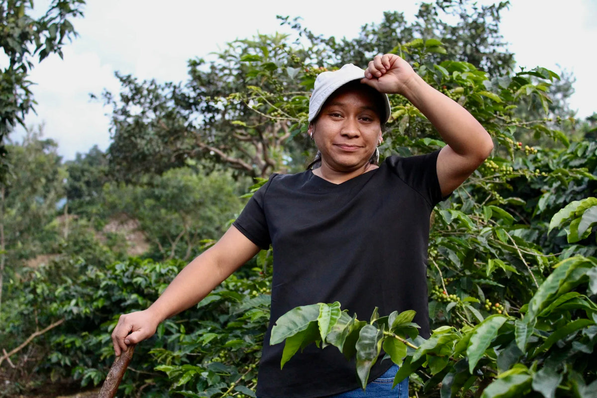 Guatemala - San Miguel Escobar