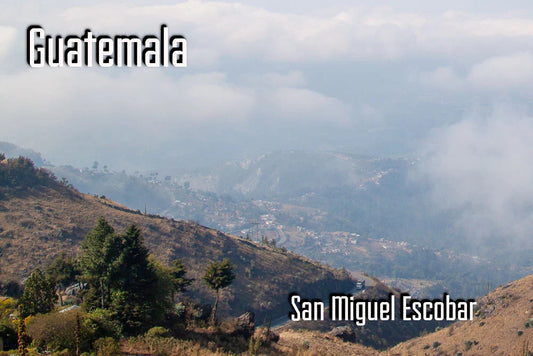 Guatemala - San Miguel Escobar