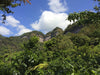 Decaffeinated Mexico Chiapas [Certified Organic and Fair Trade]